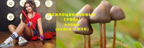 мдма Касимов